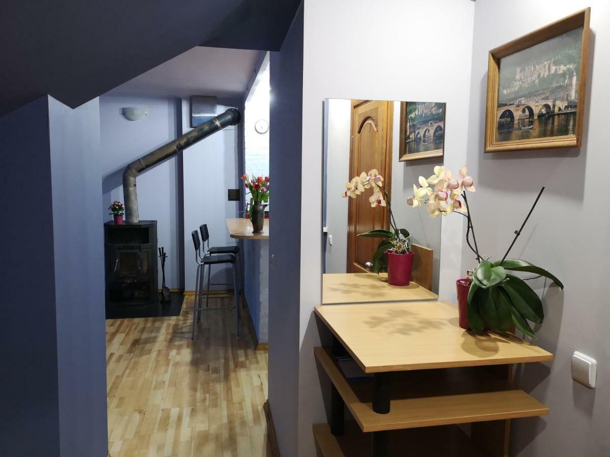 Park Apartment Каунас Экстерьер фото