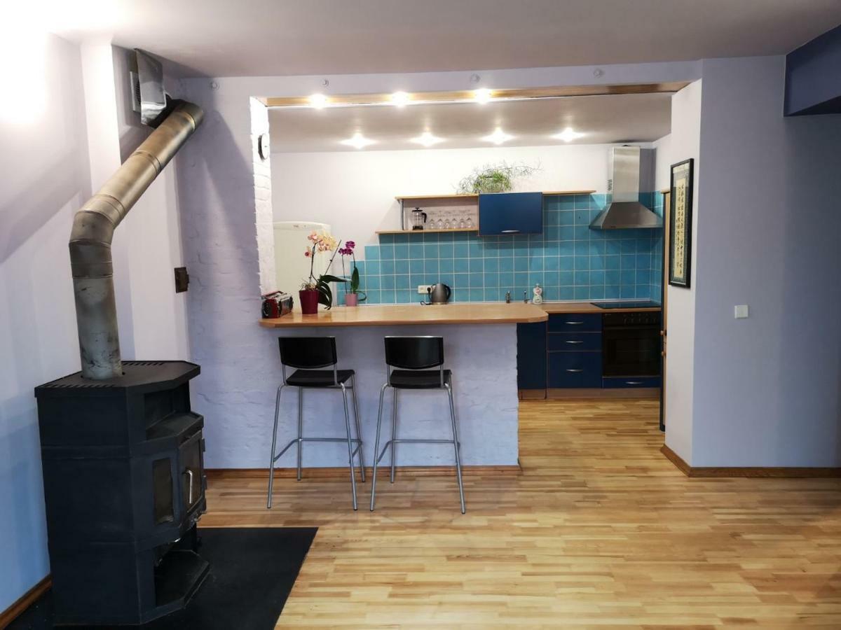 Park Apartment Каунас Экстерьер фото