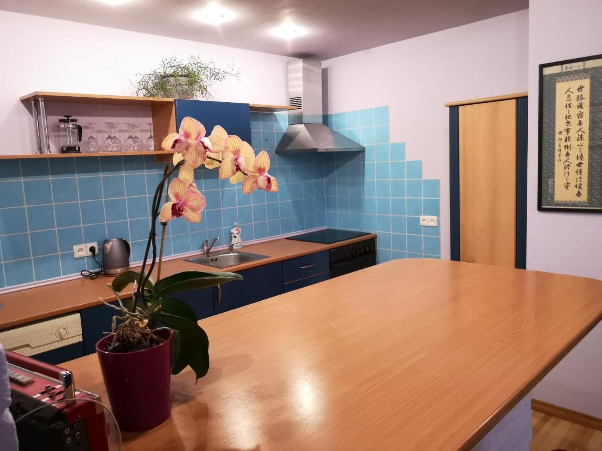 Park Apartment Каунас Экстерьер фото
