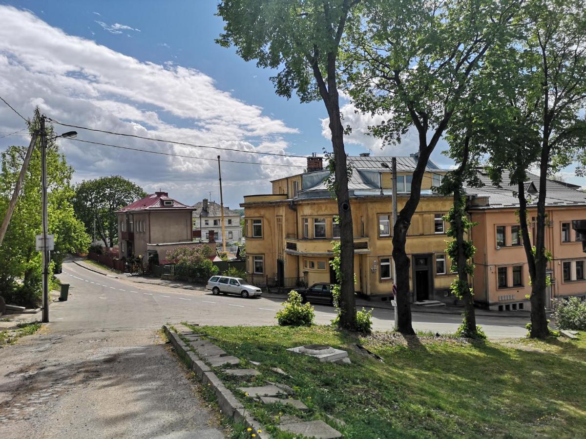 Park Apartment Каунас Экстерьер фото